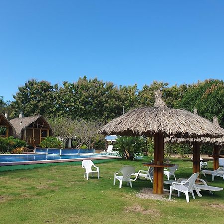 פאלומינו Hostal La Finquita מראה חיצוני תמונה