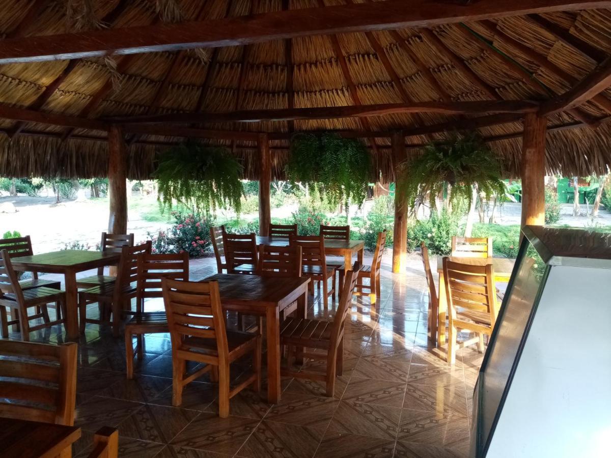 פאלומינו Hostal La Finquita מראה חיצוני תמונה
