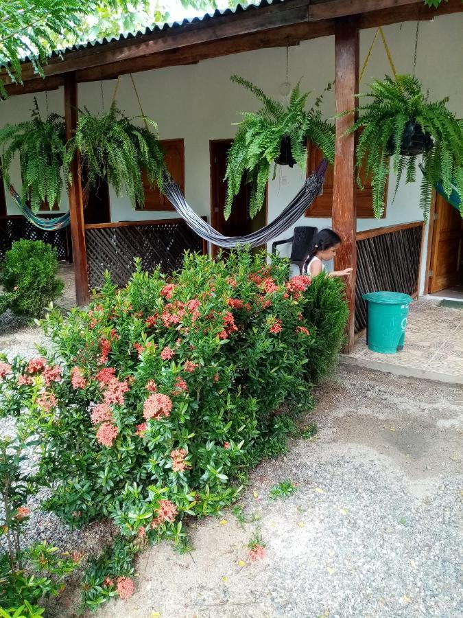 פאלומינו Hostal La Finquita מראה חיצוני תמונה